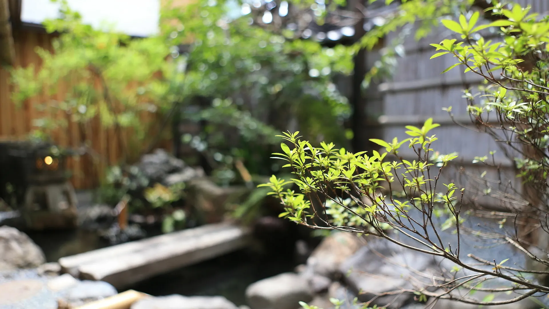 Guest House Wasabi Kyoto Soba Otel